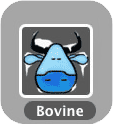 Bovine