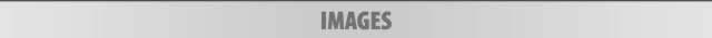 Main Page